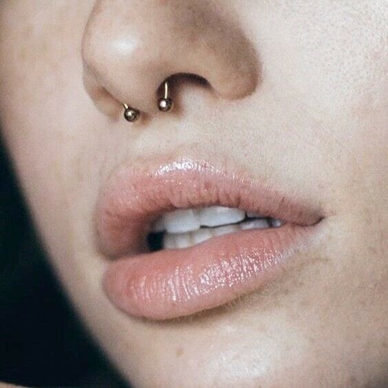 septum